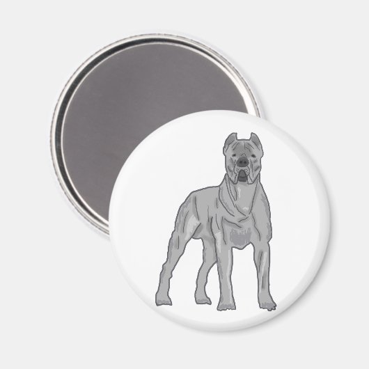 Cane Corso マグネット (正面/裏面)