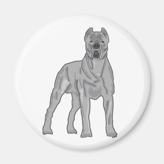 Cane Corso マグネット (正面)
