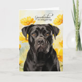 Cane Corso Dog Golden Poppies Get Well カード (正面)