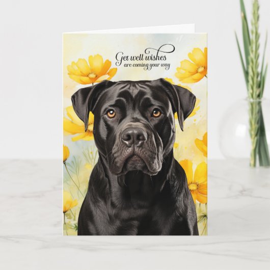Cane Corso Dog Golden Poppies Get Well カード (正面)