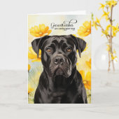 Cane Corso Dog Golden Poppies Get Well カード (黄色い花)