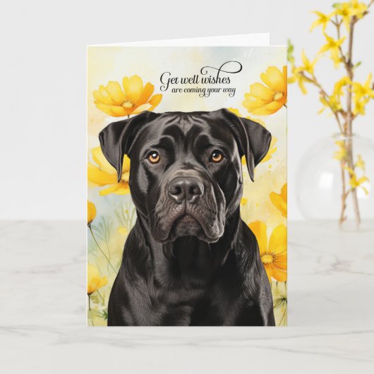 Cane Corso Dog Golden Poppies Get Well カード (黄色い花)