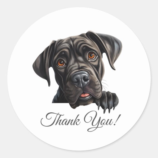 Cane Corso Dog Thank You ラウンドシール (正面)