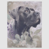 Cane Corso Floral Dog 薄葉紙 (正面)