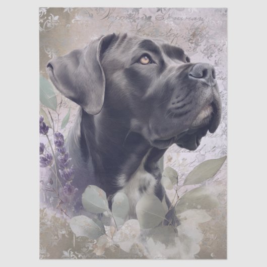 Cane Corso Floral Dog 薄葉紙 (正面)