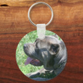 Cane Corso keychain キーホルダー (正面)