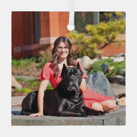 Cane Corso Special Order for CB ガラスオーナメント (裏面)