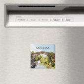 Cangas de Onís bridge, Asturias travel マグネット (インサイチュ (食洗機))