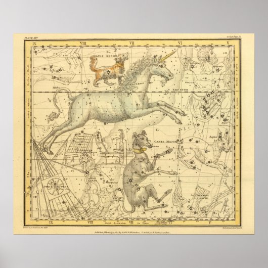 Canis、専攻のCanis Minor、Monoceros、Argo Navis ポスター (正面)