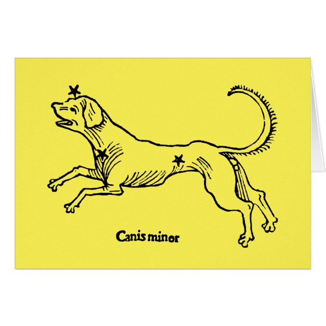 Canis Minor, 1482 (正面横)