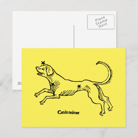 Canis Minor, 1482 ポストカード (正面/裏面)