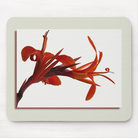 Cannaのマウスパッド マウスパッド (正面)