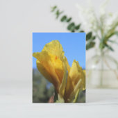 Canna # 1 ポストカード (スタンド正面)