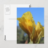 Canna # 1 ポストカード (正面/裏面)