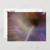 Canna Lily葉~葉書 ポストカード (正面/裏面)