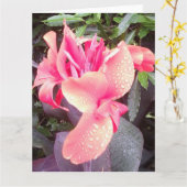 Canna Lily Photo BIGカード&インスピットフォト/ワードリア カード (黄色い花)