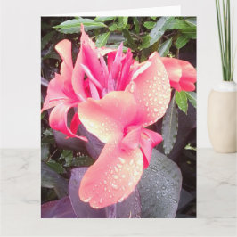 Canna Lily Photo BIGカード&インスピットフォト/ワードリア カード