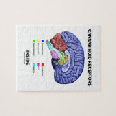 Cannabinoidの受容器の内部(頭脳の解剖学) ジグソーパズル (横)