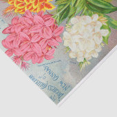 Cannasの旧式でカラフルなティッシュペーパー 薄葉紙 (詳細)