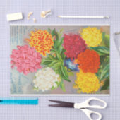 Cannasの旧式でカラフルなティッシュペーパー 薄葉紙 (クラフト)