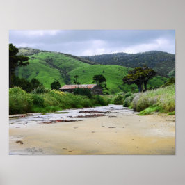 Cannibal Bay : Caitlins : New Zealand Poster ポスター