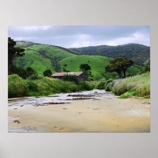 Cannibal Bay : Caitlins : New Zealand Poster ポスター (正面)