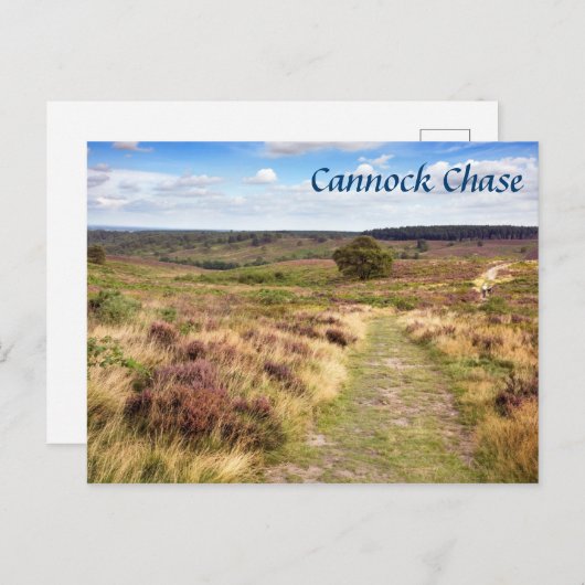 Cannock Chaseの(犬)スタッフォード土産写真 ポストカード (正面/裏面)