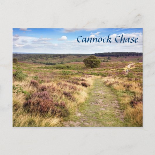 Cannock Chaseの(犬)スタッフォード土産写真 ポストカード (正面)