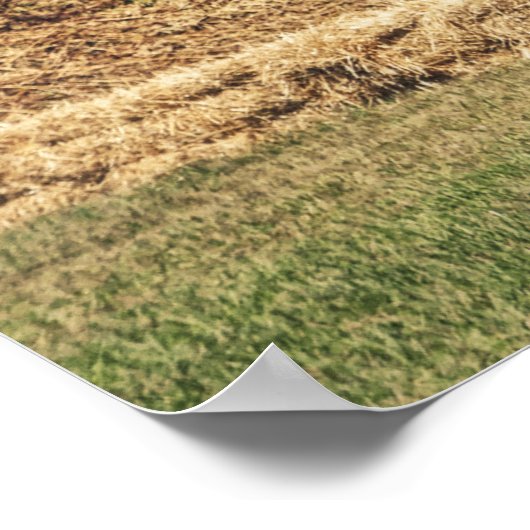 Cannon Fire ポスター (角)