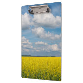 Canolaの分野及び雲 クリップボード (左)