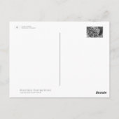 Canola Flowers ポストカード (裏面)