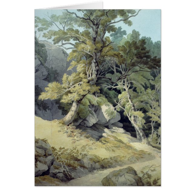 Canonteign、デボン (正面)