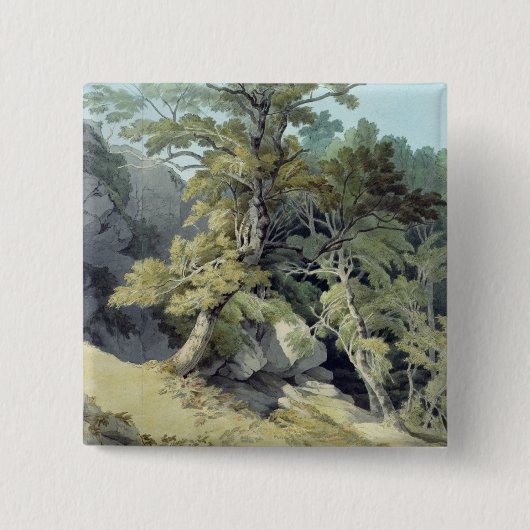 Canonteign、デボン 缶バッジ (正面)