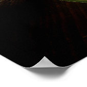 Cantaloupe Print ポスター (角)