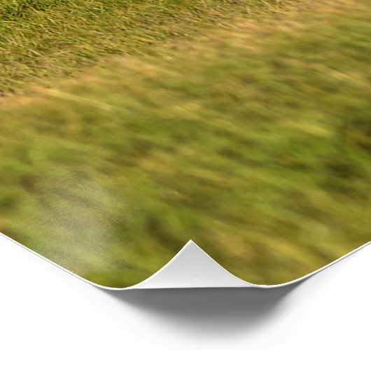 Cantering Sorrel Mare & Ranch Pastureの写真ウマ科の ポスター (コーナー)