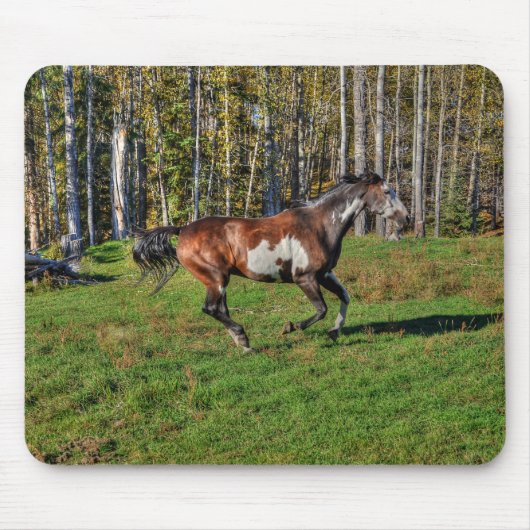 Cantering Stallion絵を描 & Forestの写真ウマ科の マウスパッド (正面)