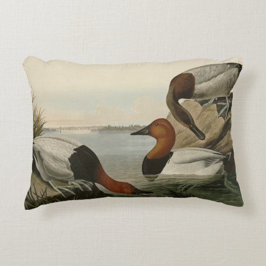 Canvas backed Duck from Audubon's Birds of America アクセントクッション (正面)