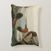 Canvas backed Duck from Audubon's Birds of America アクセントクッション (正面(垂直))