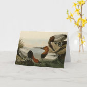 Canvas backed Duck from Audubon's Birds of America カード (黄色い花)