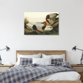 Canvas backed Duck from Audubon's Birds of America キャンバスプリント (インサイチュ (寝室))