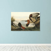 Canvas backed Duck from Audubon's Birds of America キャンバスプリント (インサイチュ (ウッドフロア))