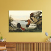 Canvas backed Duck from Audubon's Birds of America キャンバスプリント (インサイチュ (リビング))