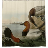 Canvas backed Duck from Audubon's Birds of America シャワーカーテン (正面)