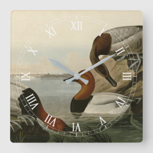 Canvas backed Duck from Audubon's Birds of America スクエア壁時計