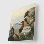 Canvas backed Duck from Audubon's Birds of America スクエア壁時計 (傾斜)