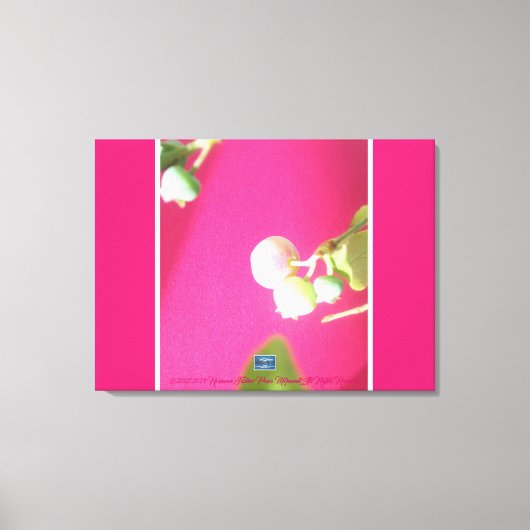 Canvas Extra (BlueBerryLeaf) RFPMDesigns ©️ 2012/2 キャンバスプリント (正面)