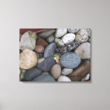 Canvas (Pebbles #1) RFPMDesigns ©️ 2012
