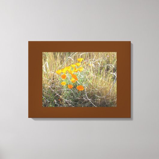 Canvas Print - California poppy キャンバスプリント (正面)