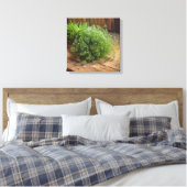 Canvas Print (Fresh Dill) キャンバスプリント (インサイチュ (寝室))
