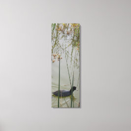 Canvas Print - Mud Hen in Reeds キャンバスプリント